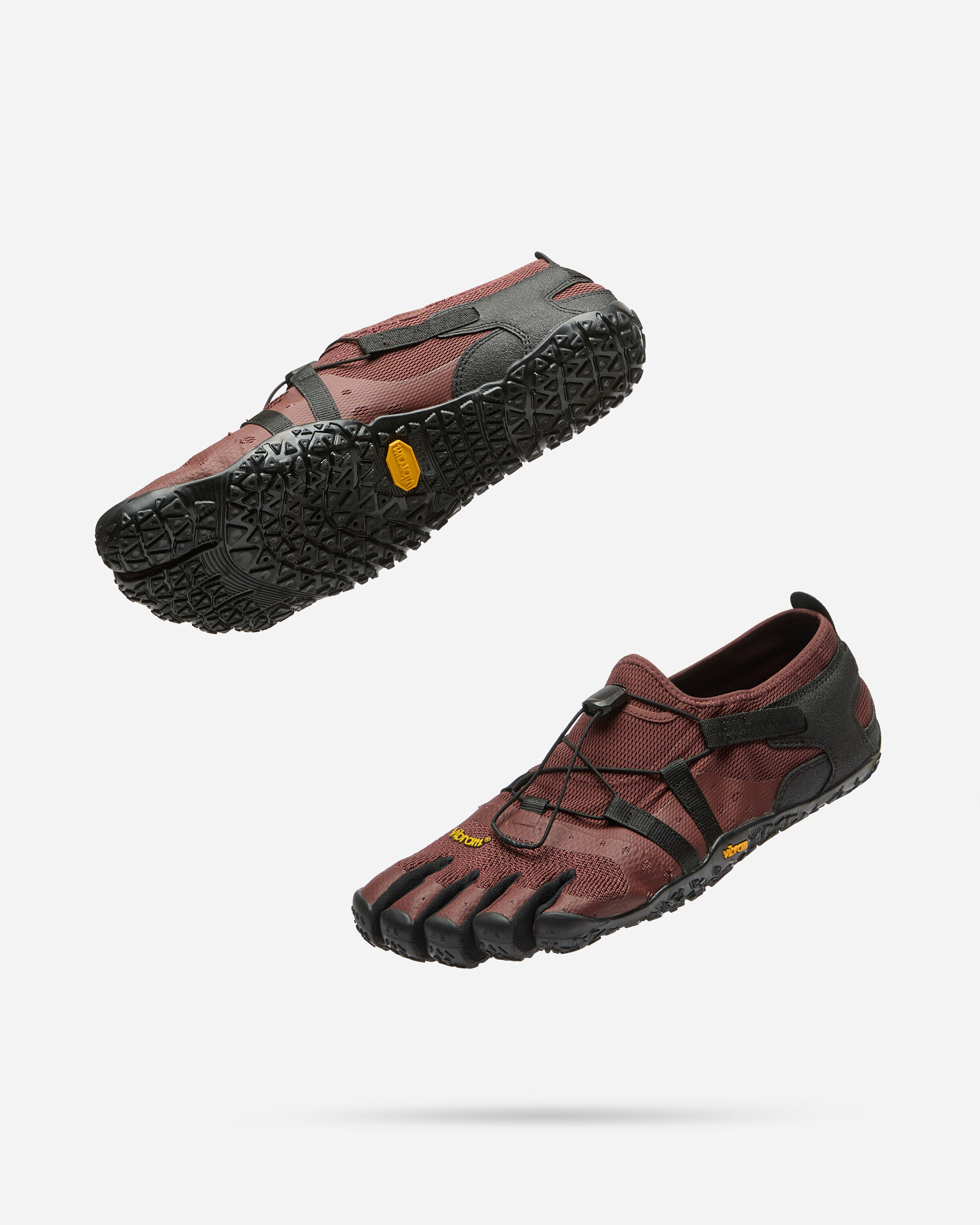 spidrwalk