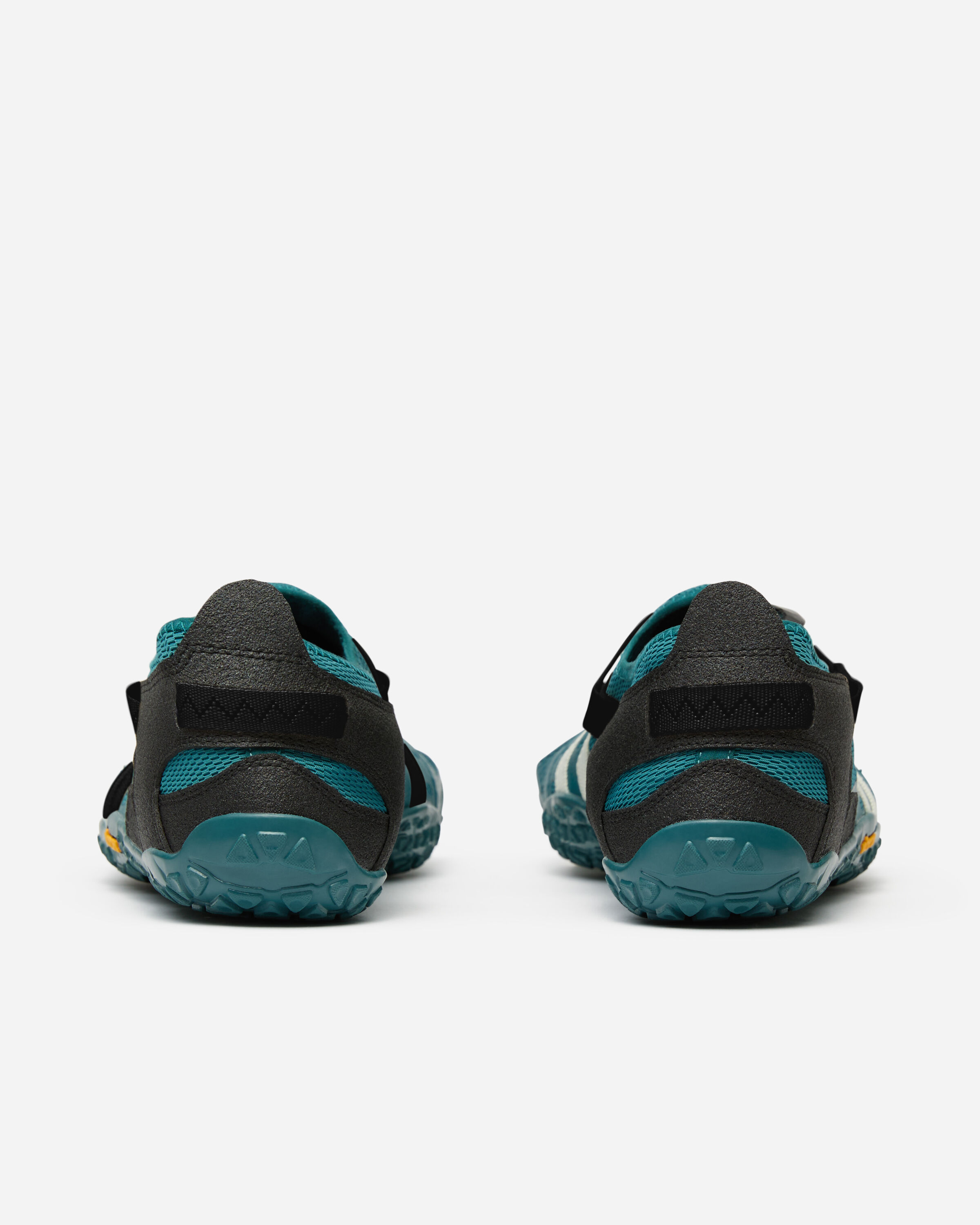 spidrwalk