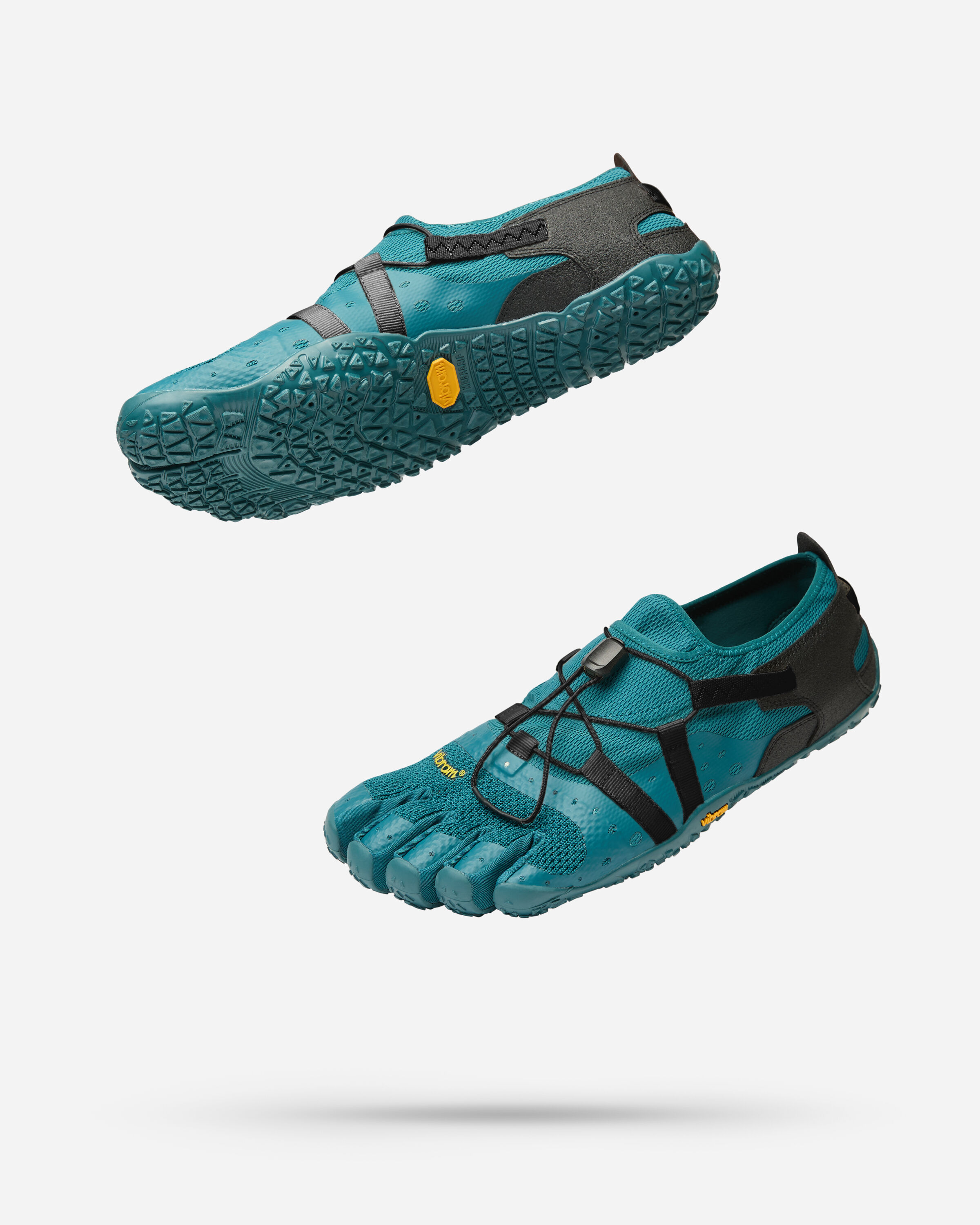 spidrwalk