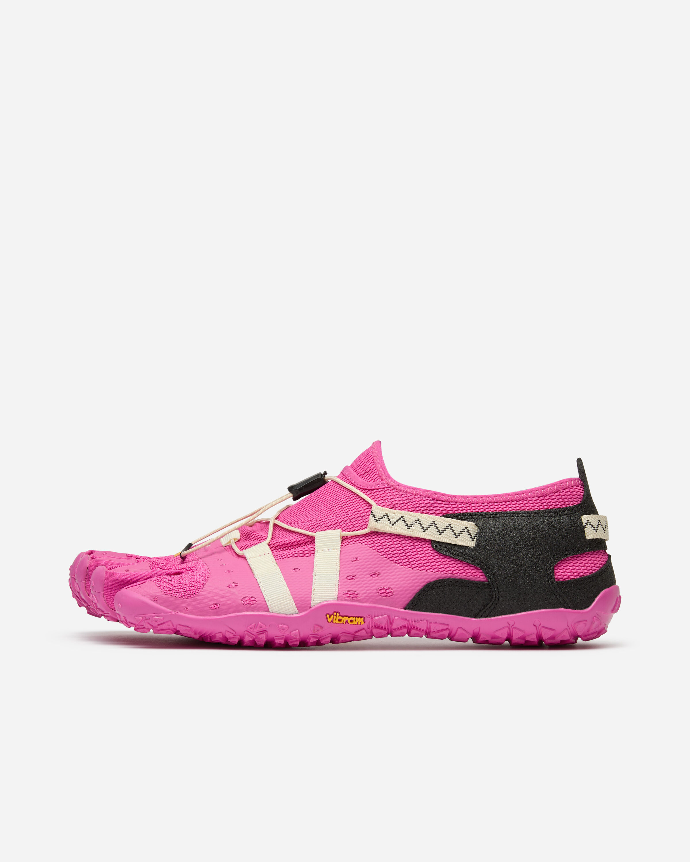 spidrwalk