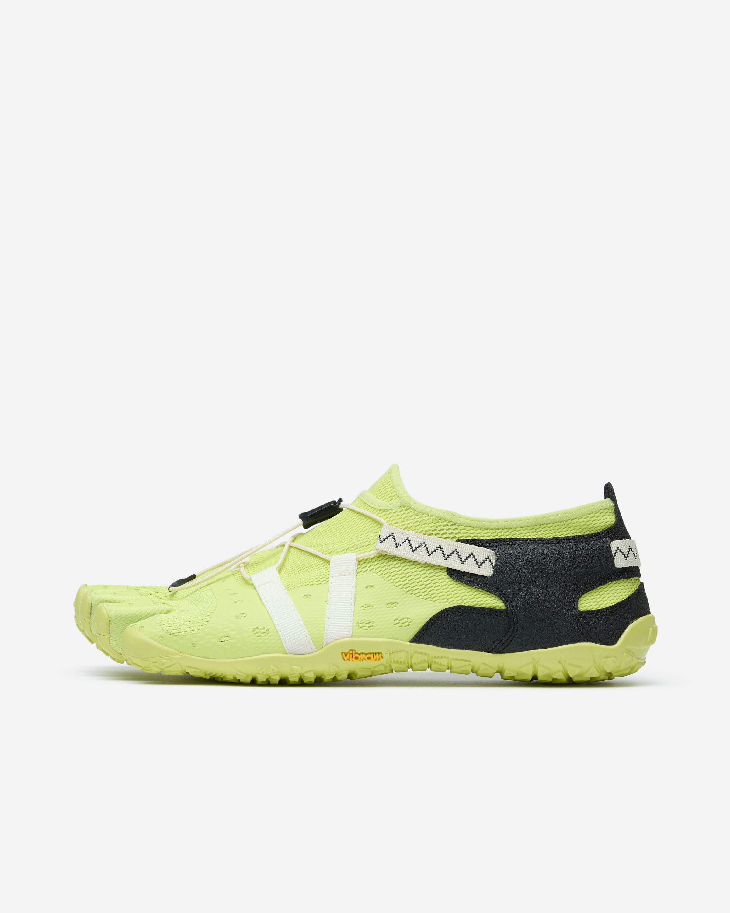 spidrwalk