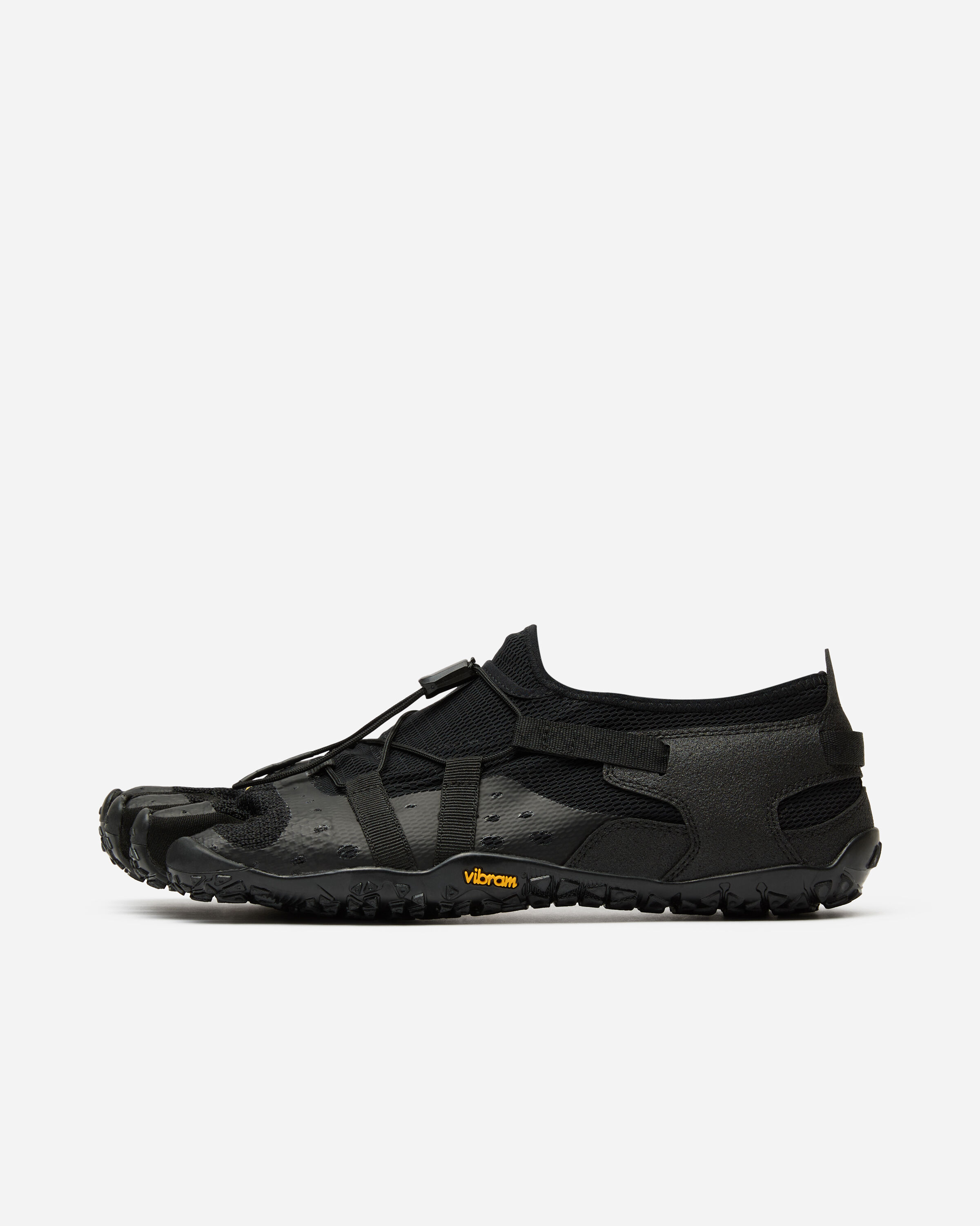 spidrwalk