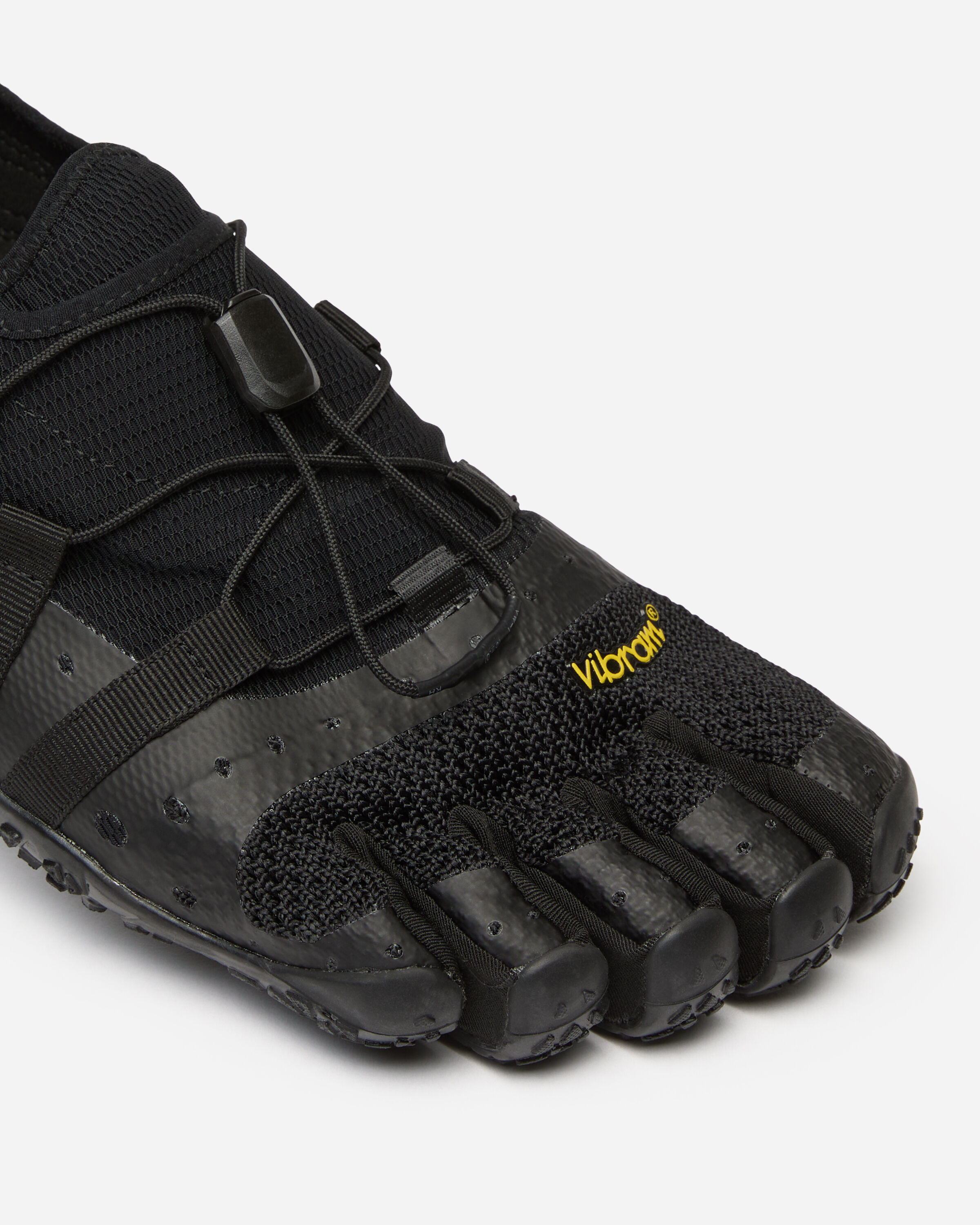 spidrwalk