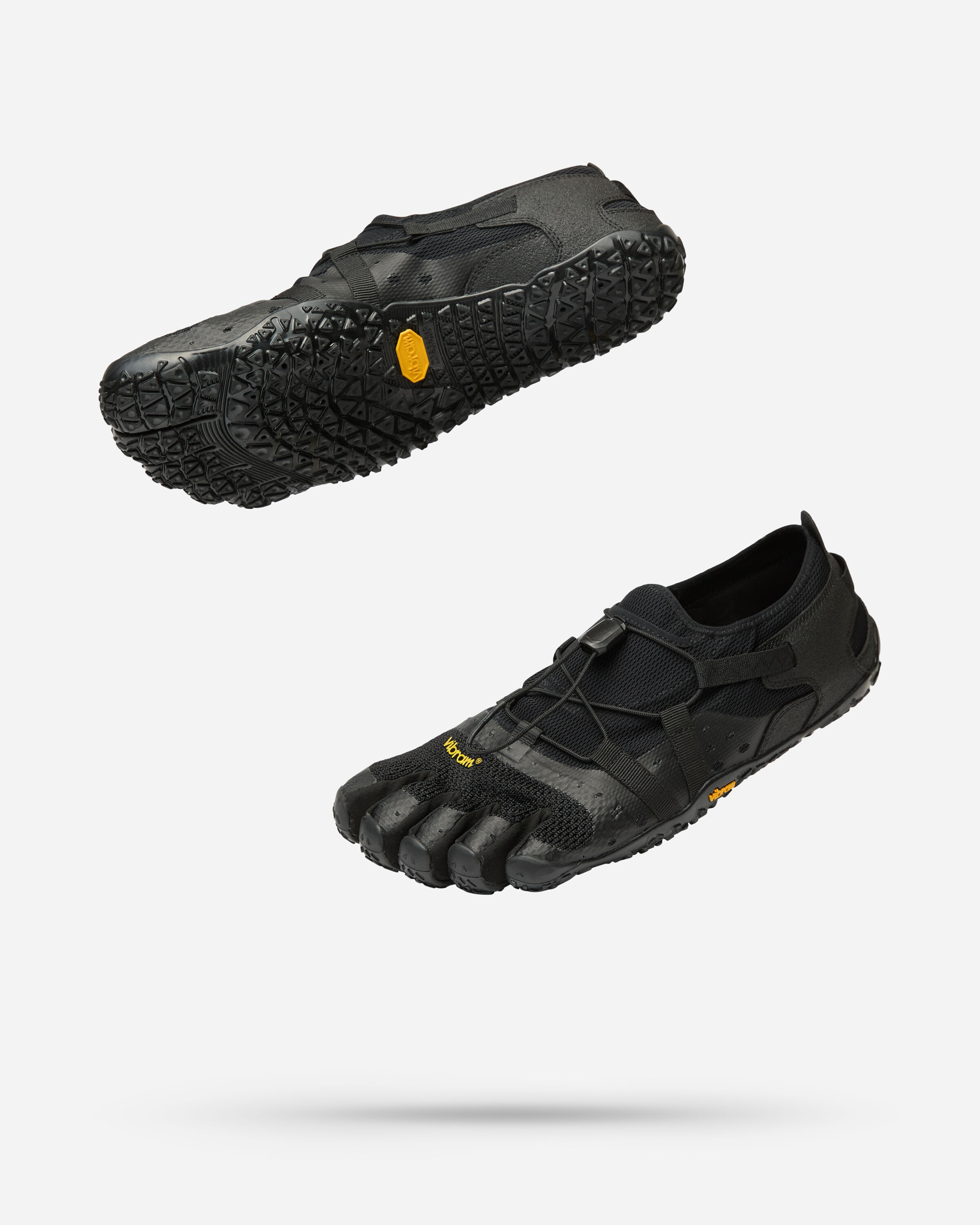 spidrwalk
