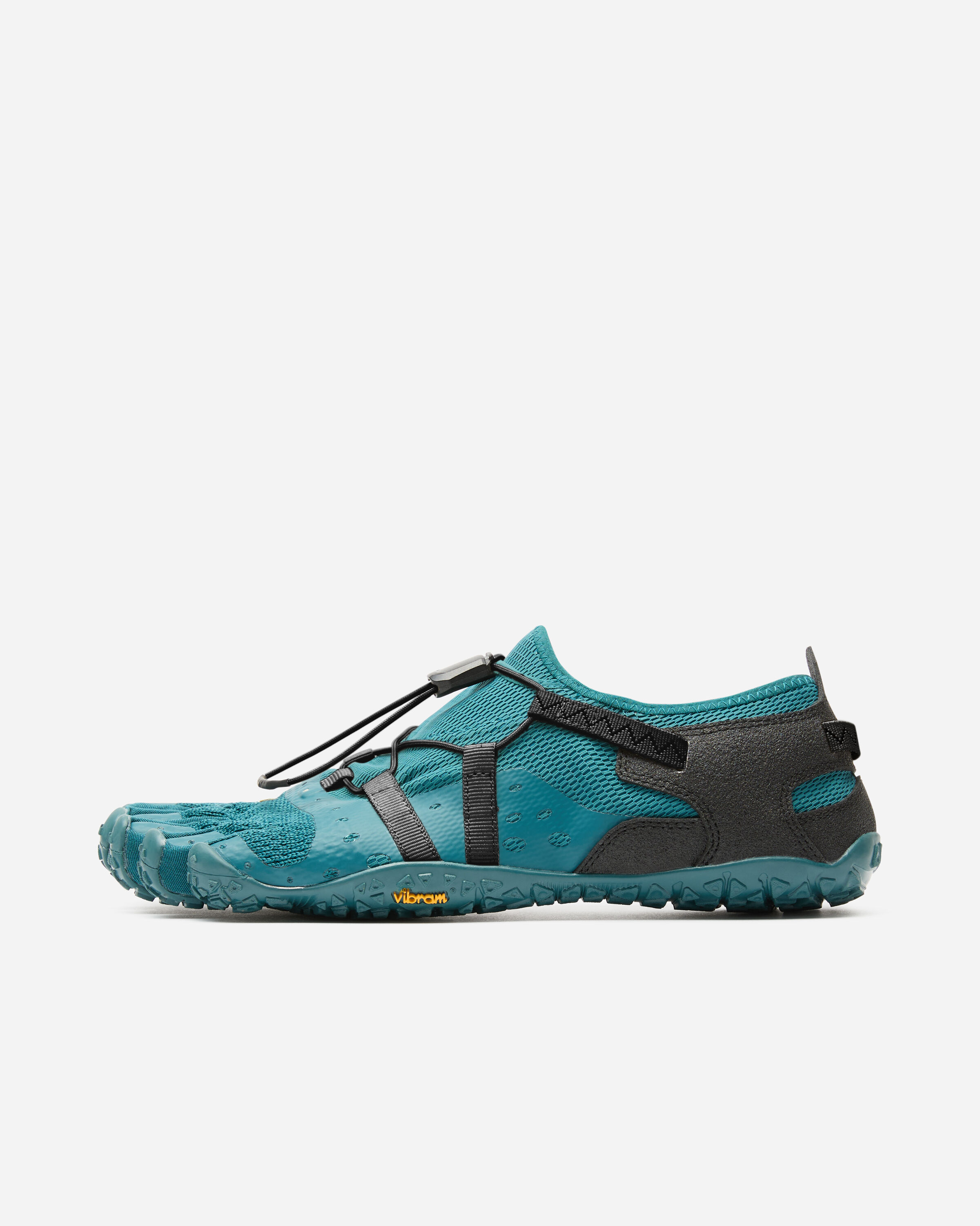 spidrwalk