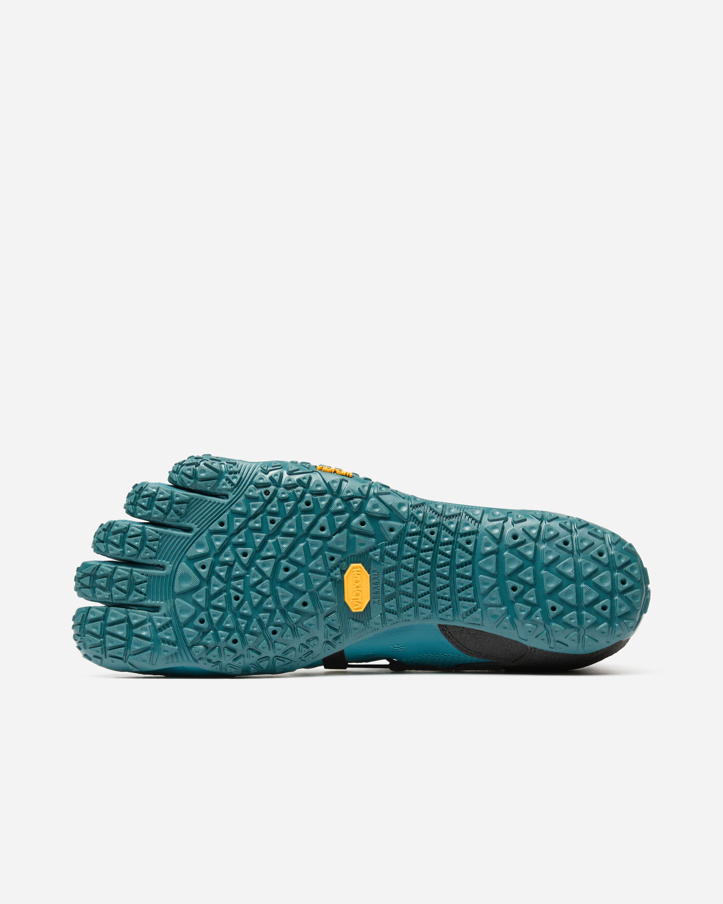 spidrwalk