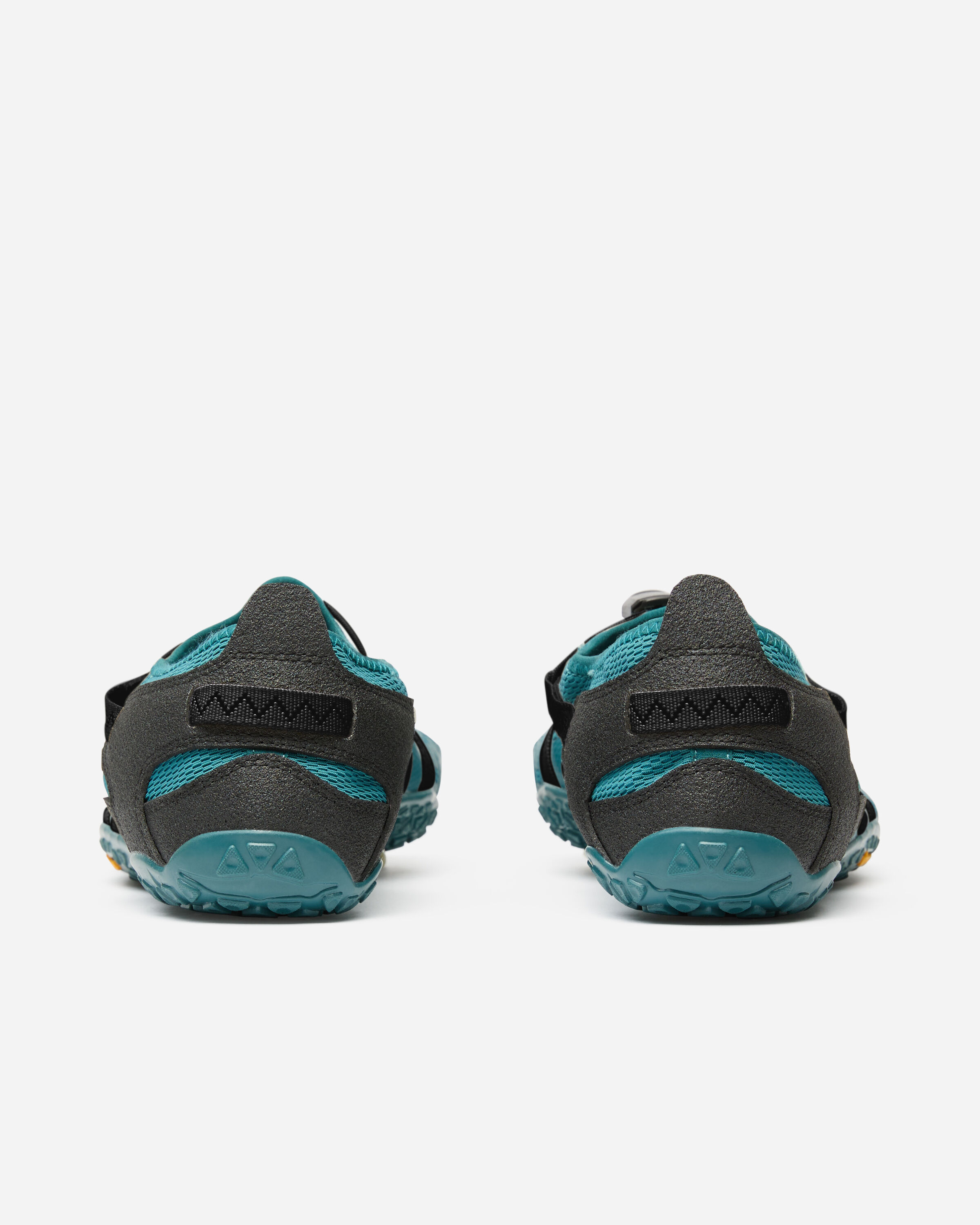 spidrwalk