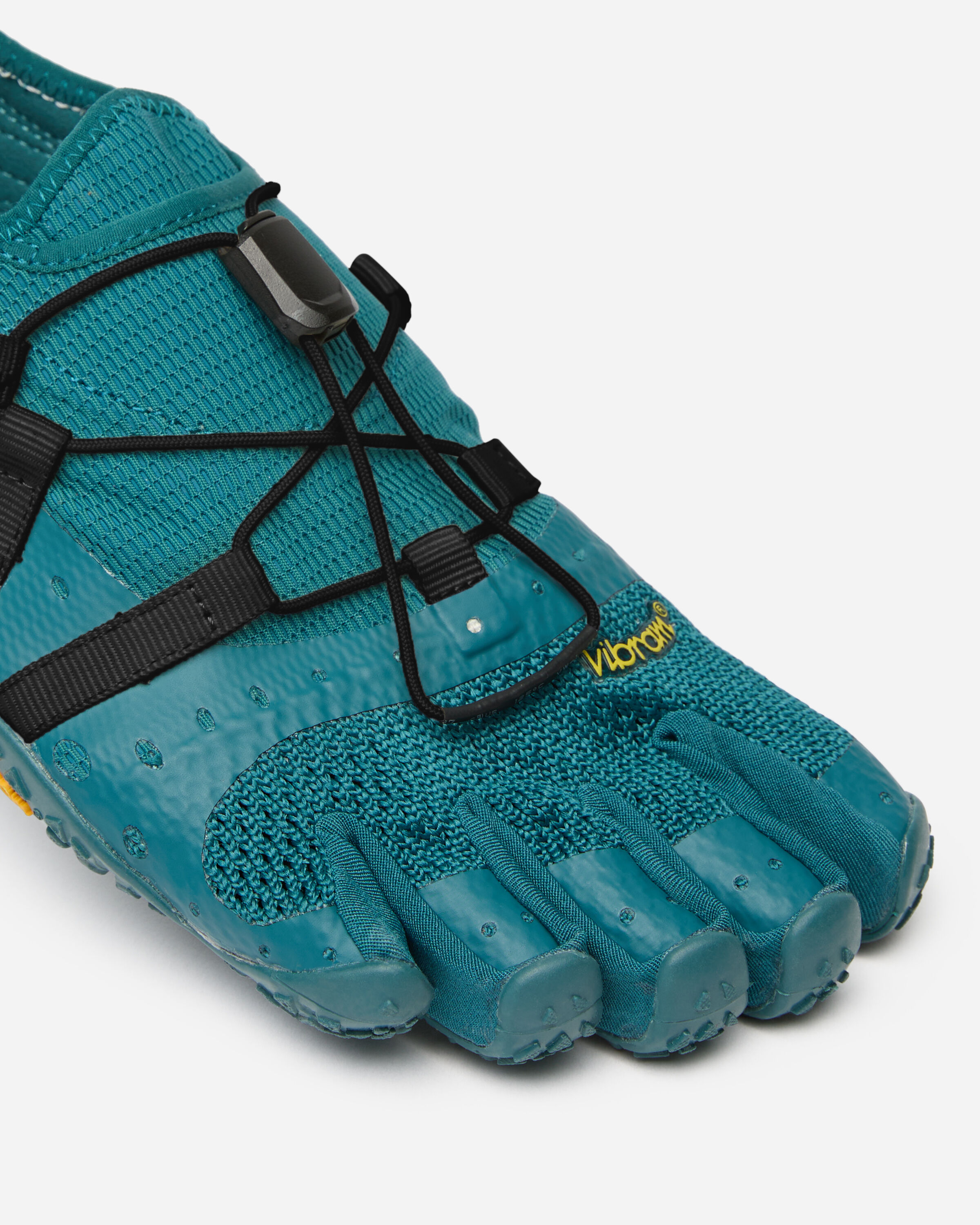 spidrwalk