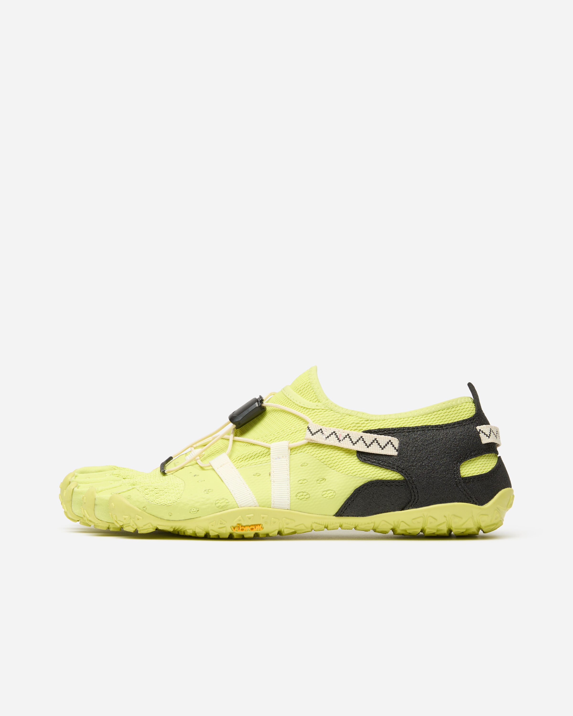 spidrwalk